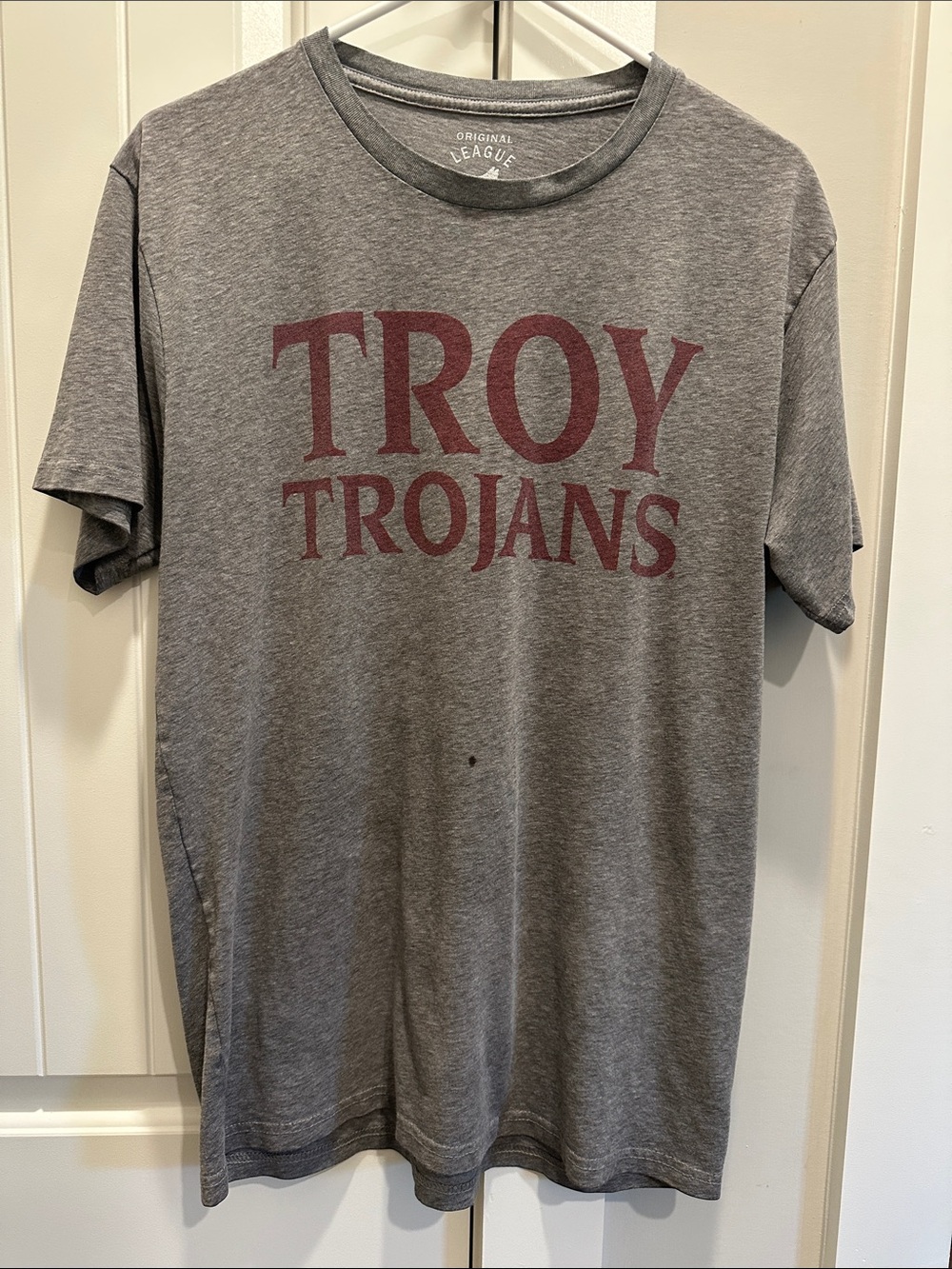 Troy Trojans Gray Graphic Tee